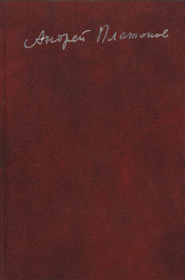 Записные книжки. Материалы к биографии