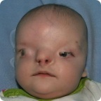 Ваня Малкин (Муковоз)