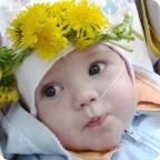 Даша Домбровская