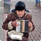 "Чудо-огород" - проект помощи бездомным