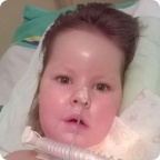 Лиза Першикова