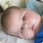 Герман Даниленко