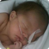 О Тимуре Кане