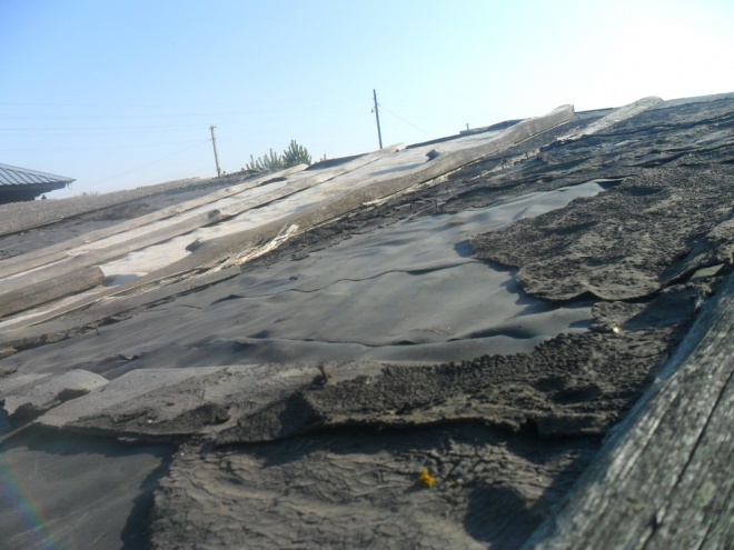 Николай Соколов