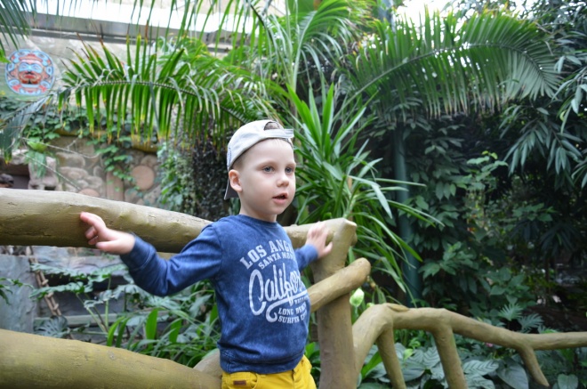 Максим Брутов