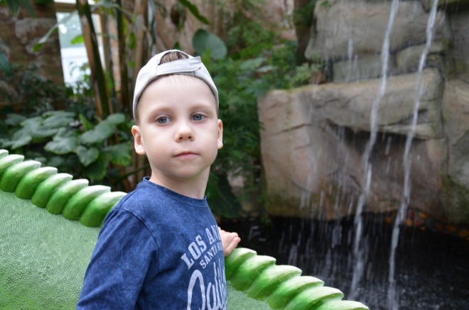 Максим Брутов