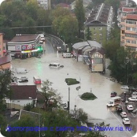 Перевод средств АНО "Гражданская инициатива против экологической преступности"