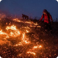 Календарь в подарок!