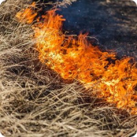 Помощь жителям Забайкалья