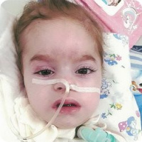 Возвращение домой