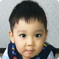 Железный человек