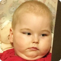 Вертикализатор для Максима Успенского