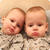 Помощь братьям Лосяковым