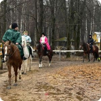 Дети и лошади