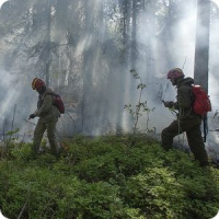Помощь пожарным добровольцам