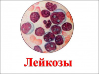 Перевод средств на покупку лекарств Александру П.