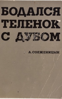 Сочинение по теме Александр Солженицын  - cтремя 